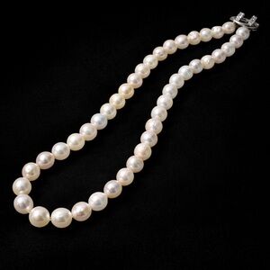 Classic Freshwater Pearl Necklace – Soft Luster